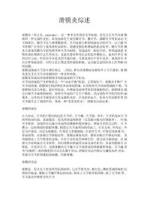滑膜炎综述