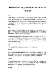 MAPK信号通路在Hcy介导的酒精性心肌病机制中的研究的综述报告