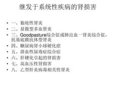 继发性肾脏病病理