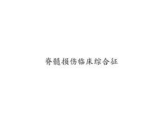 脊髓损伤临床综合征45327