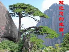 二、動物細(xì)胞融合與單克隆抗體(上傳).ppt