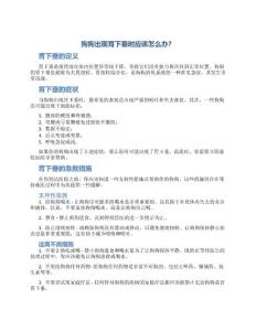 狗狗胃下垂急救措施