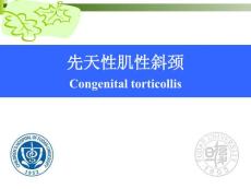小儿外科学：先天性肌性斜颈 1