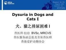犬、猫之排尿困难