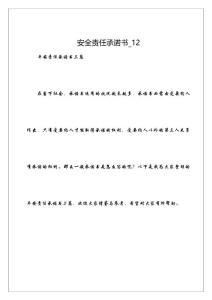 安全責(zé)任承諾書(shū)_12