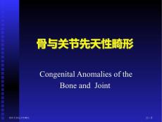 骨和关节先天性畸形专家讲座