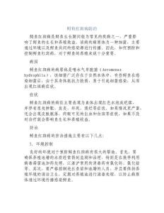 鲟鱼红斑病防治