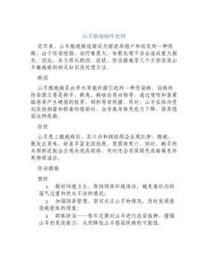 山羊脓疱病咋处理[2]