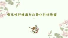 骨化性纤维瘤与非骨化性纤维瘤影像