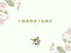 小脑扁桃体下疝影像诊断