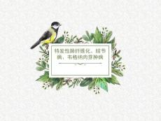 特发性肺纤维化与结节病与韦格纳肉芽肿病影像诊断