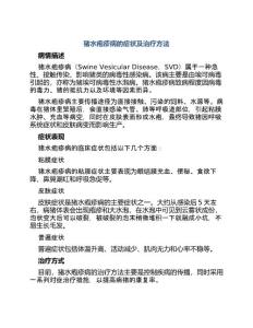 猪水疱疹病的症状猪水疱疹治疗方法