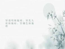 肾癌影像诊断