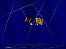 气胸PPT