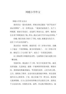 网瘾小学作文