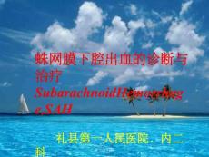《蛛网膜下腔出血》课件