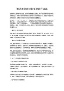 重慶地下空間控制性詳細規劃研究與實踐