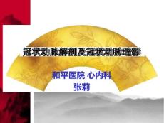 冠状动脉解剖及冠状动脉造影-教学课件