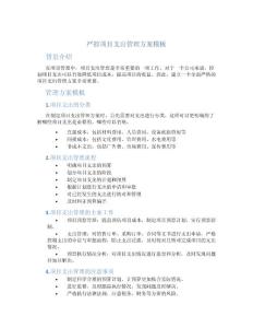 严控项目支出管理方案模板