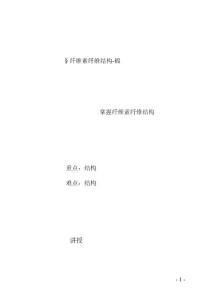纤维素纤维结构5