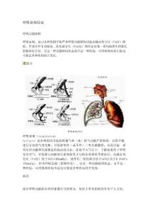 呼吸衰竭综述