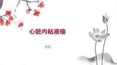 心脏内粘液瘤