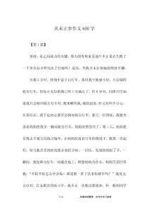 從未止步作文600字