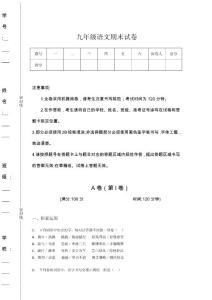 吉林省磐石市初中語文九年級(jí)期末高分通關(guān)試卷詳細(xì)答案和解析