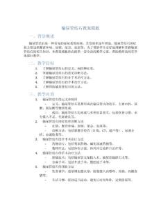 输尿管结石教案模板