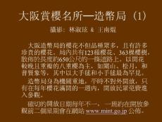 罕見品種的櫻花