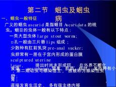 蛔虫及蛔虫病课件