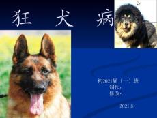 狂犬病 课件