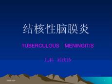 结核性脑膜炎课件