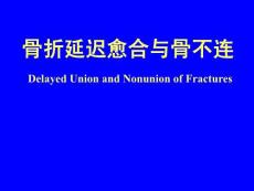 骨不连课件