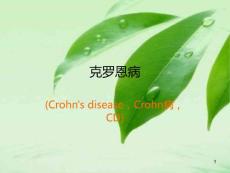克罗恩病最新课件