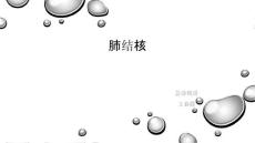 肺结核课件