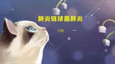 肺炎链球菌肺炎