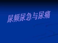 尿急尿频尿痛课件
