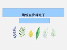 蟾蜍坐骨神经干课件