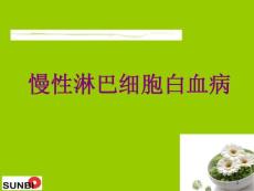 慢性淋巴细胞白血病培训ppt课件