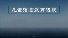 儿童语言发育迟缓--课件