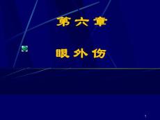 眼外伤课件