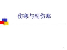 伤寒与副伤寒课件