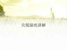 尖锐湿疣讲解