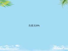 角膜炎ppt课件