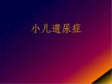 小儿遗尿症培训 医学ppt课件