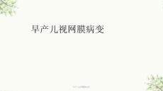 早产儿视网膜病变7ppt课件