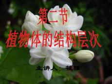 植物體的結(jié)構(gòu)層次.ppt