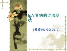 IgA肾病诊治现状课件
