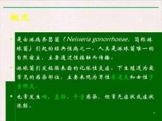 淋病讲课学习ppt课件